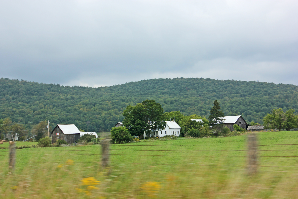 IMG 8174