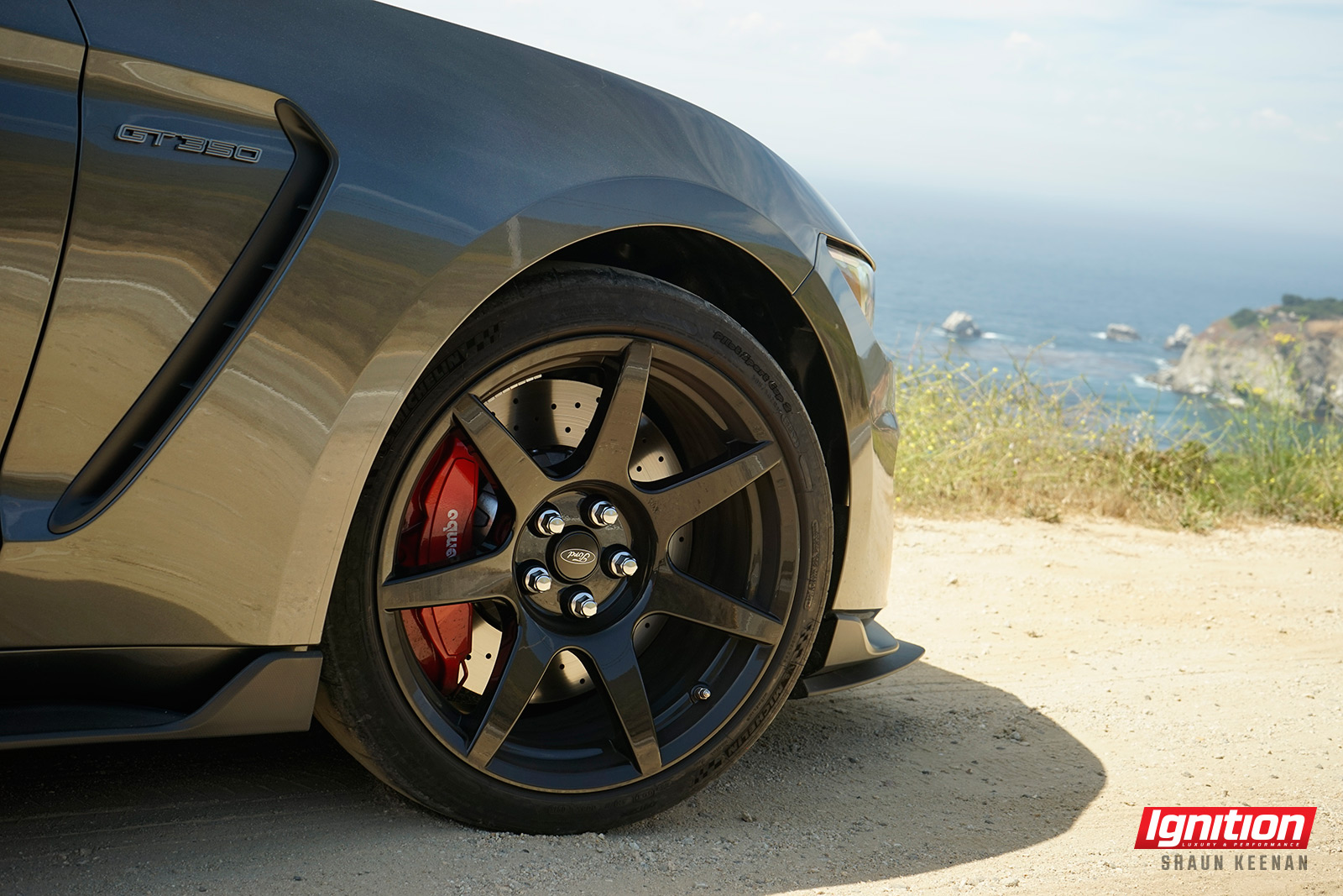 Ignition 2016 Mustang Shelby GT350R 23