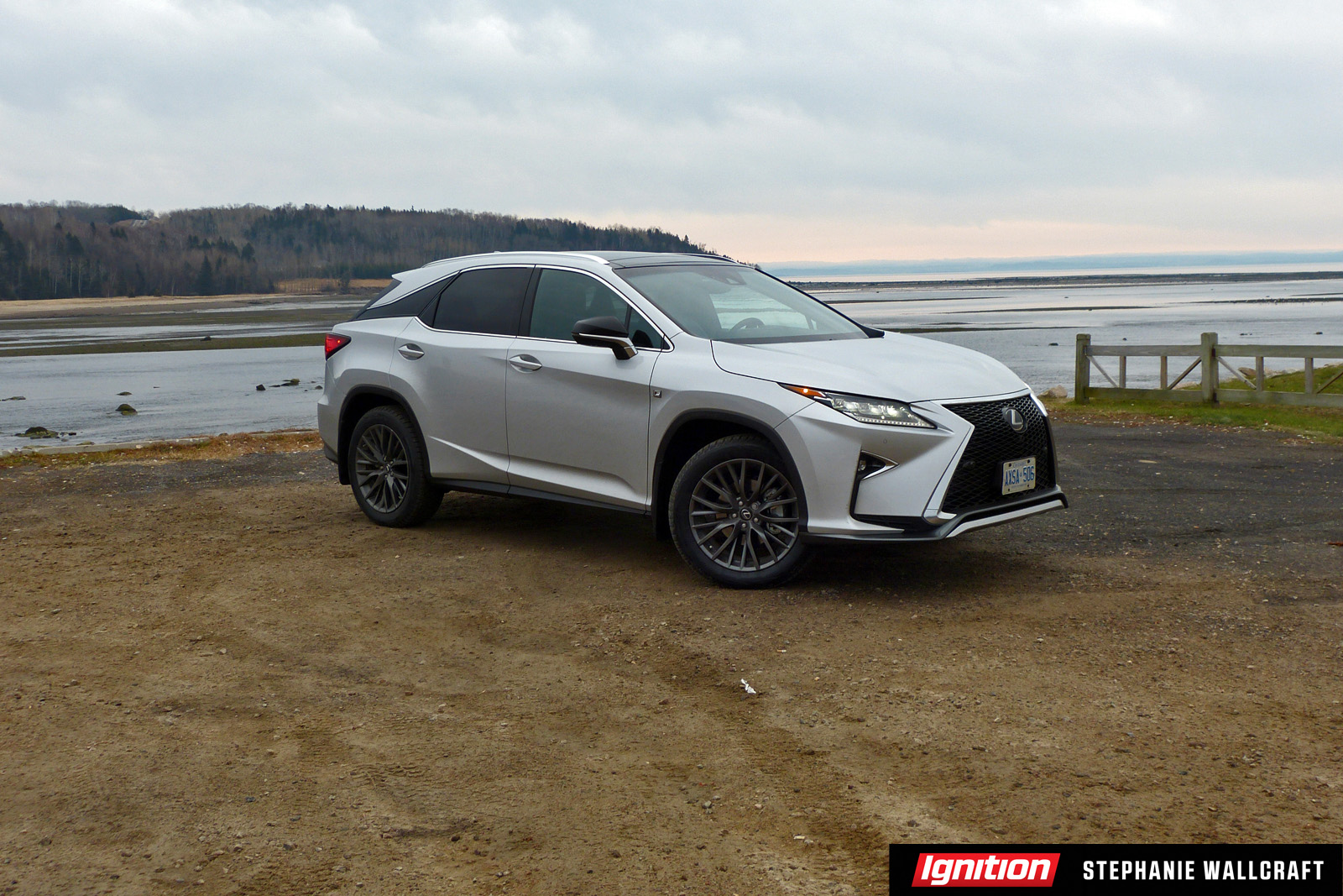 2016 Lexus RX Ignition Stephanie Wallcraft 2