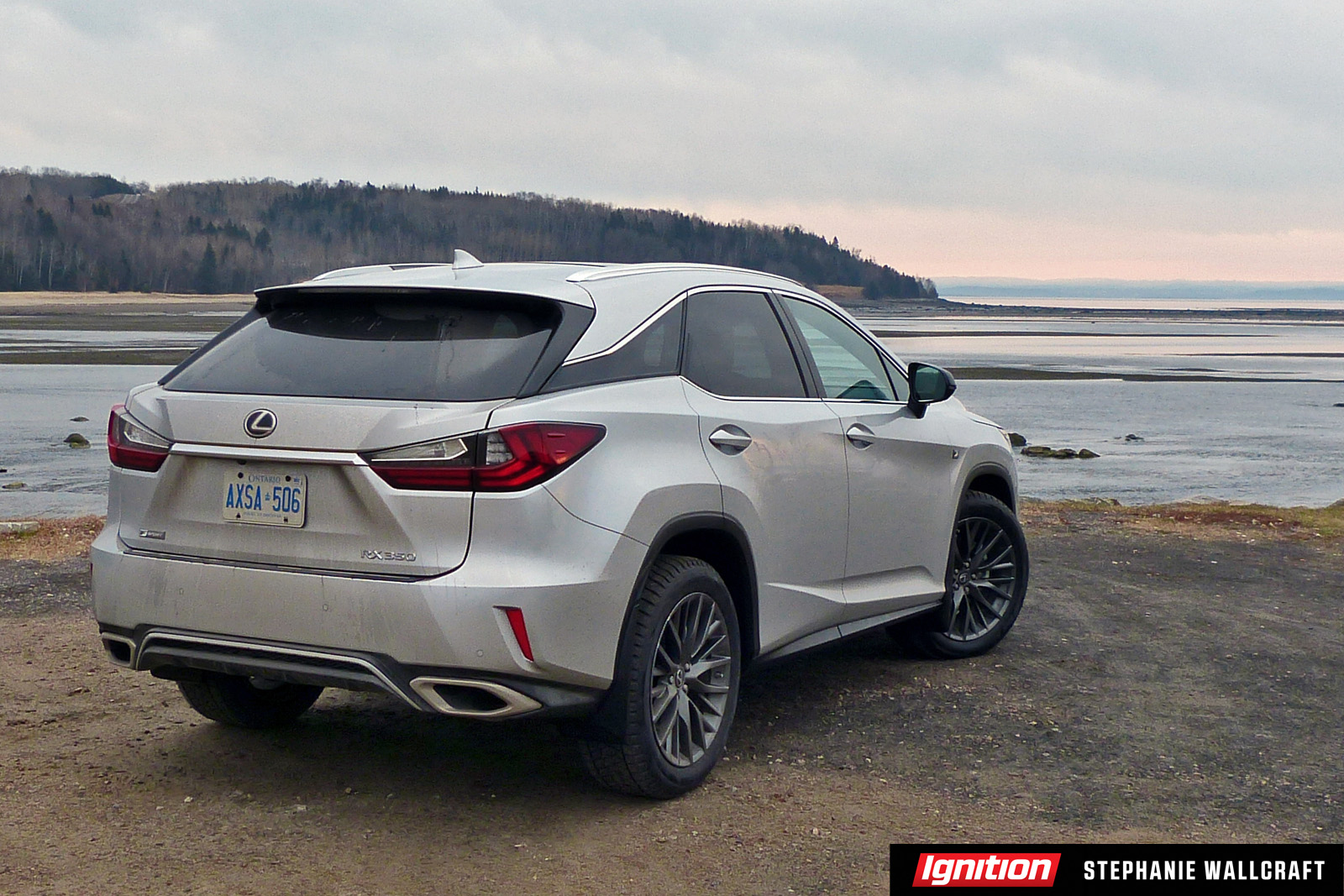 2016 Lexus RX Ignition Stephanie Wallcraft 4