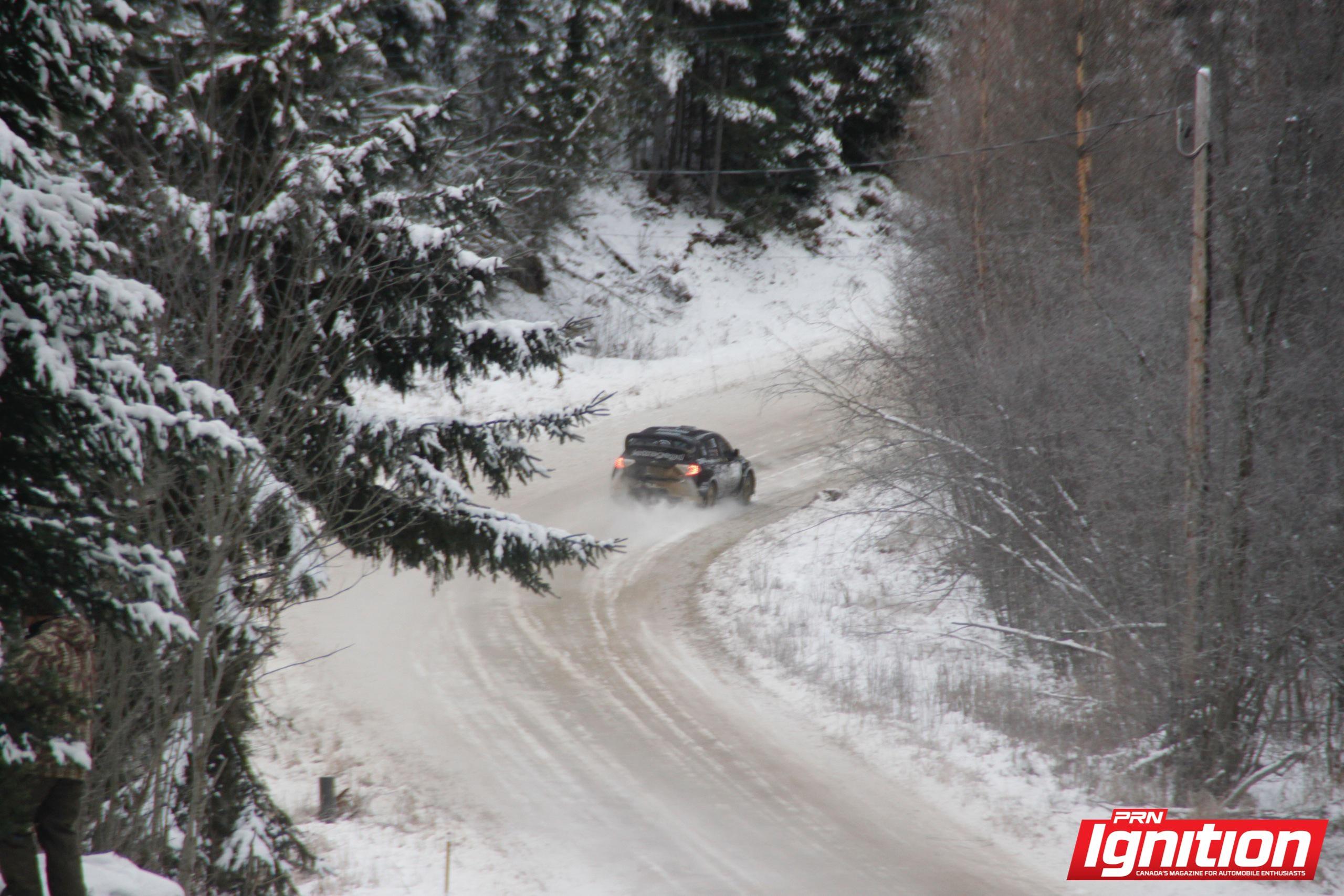 Rally of the Tall Pines