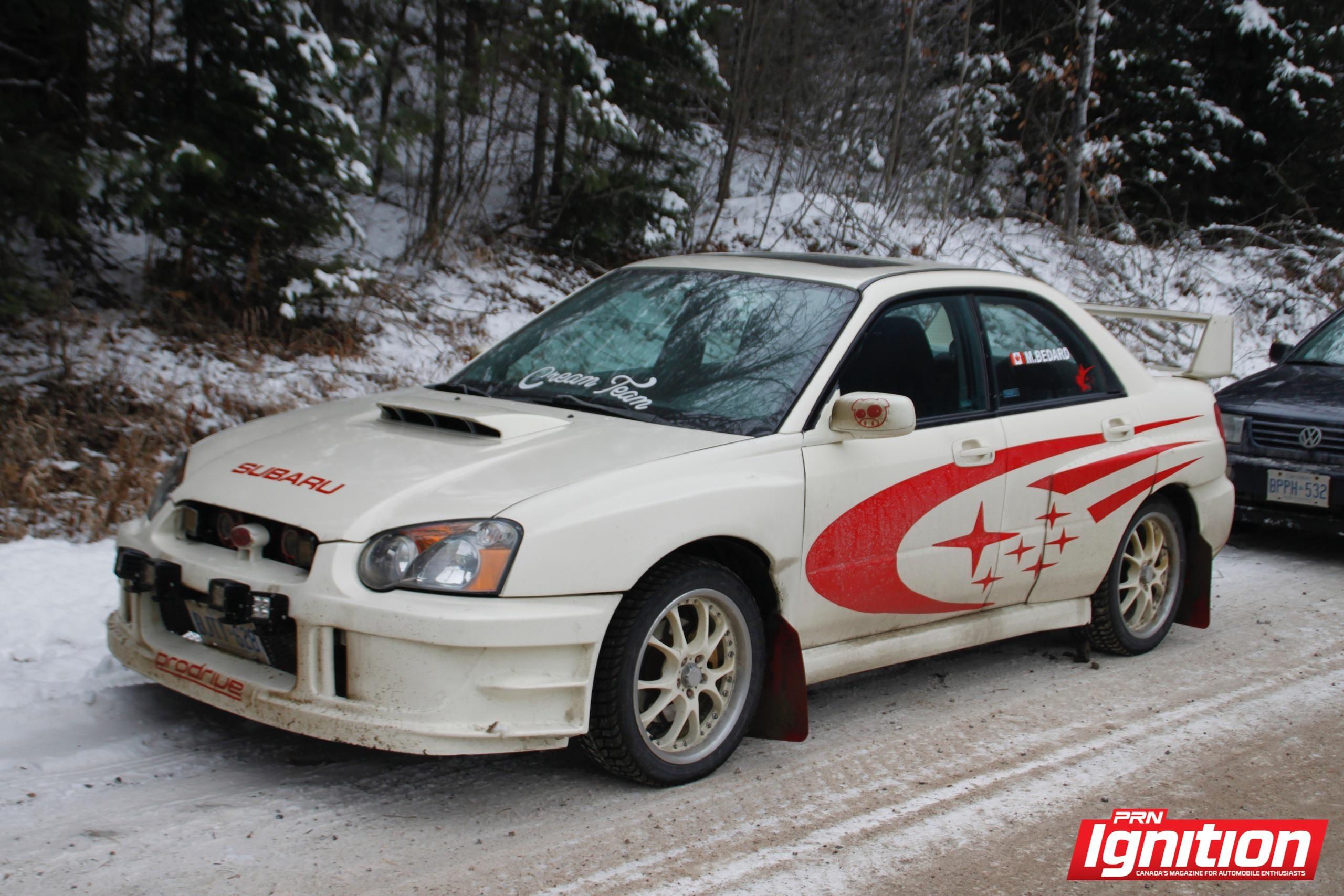 Rally of the Tall Pines