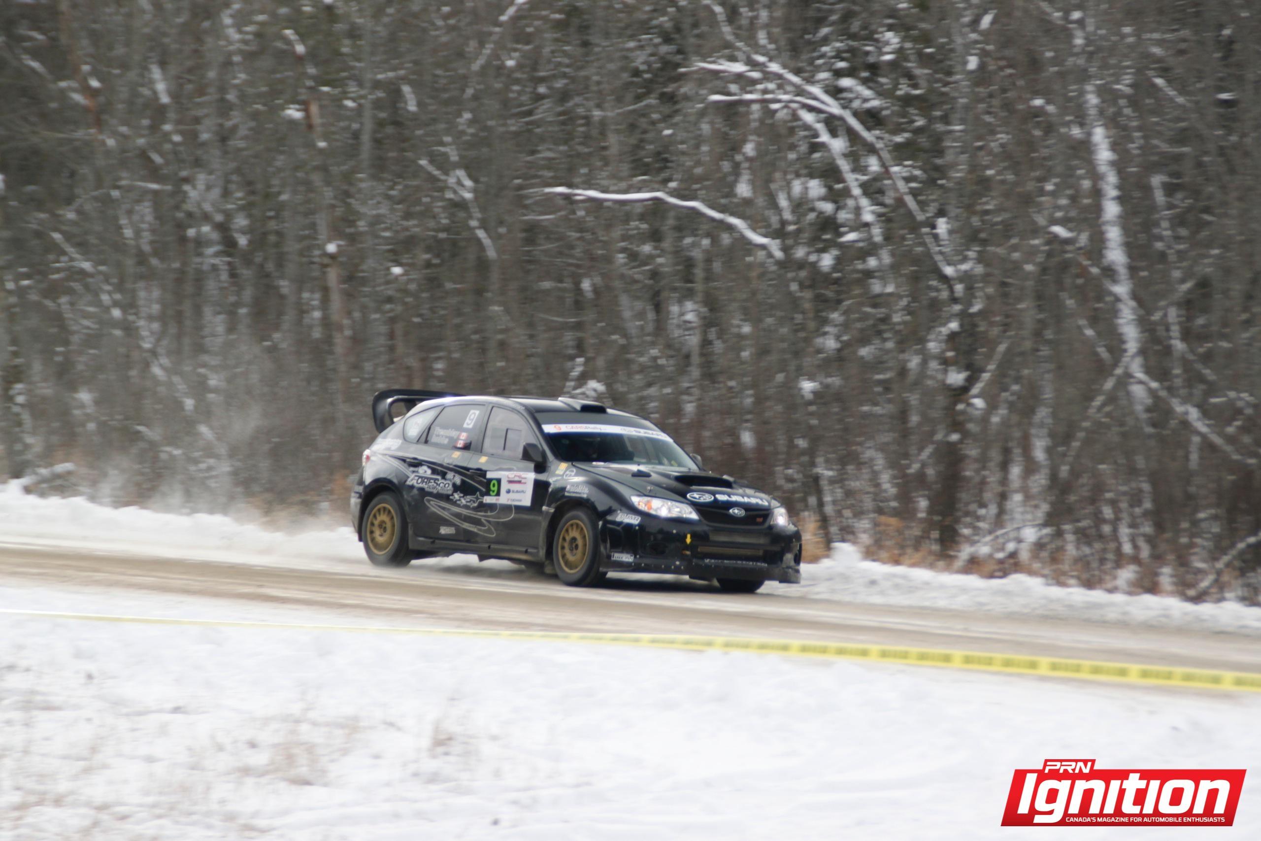 Rally of the Tall Pines