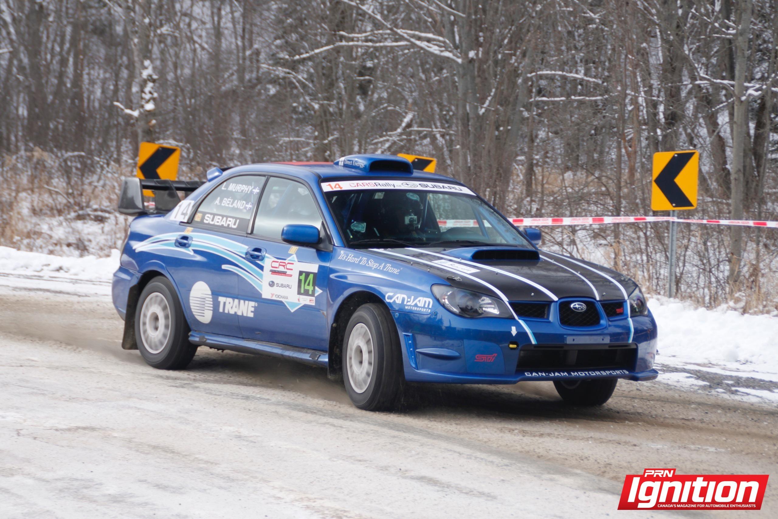 Rally of the Tall Pines