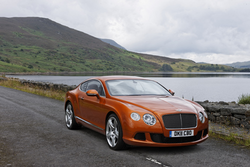 Exotic Buyer's Guide 2013