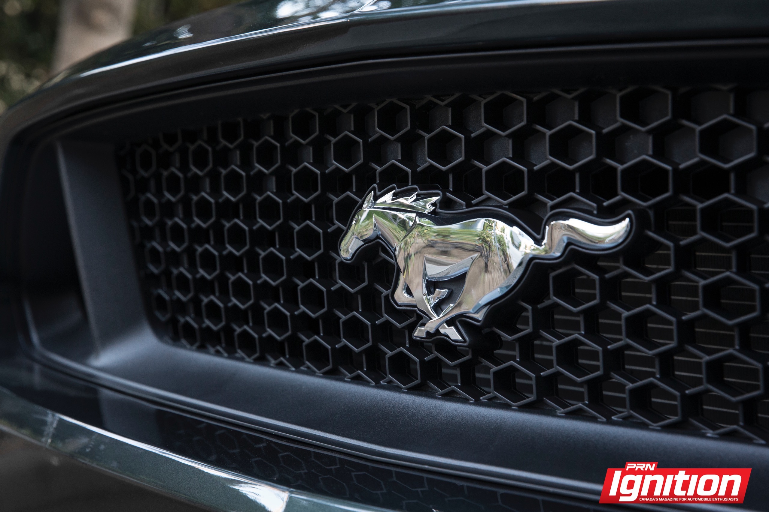 Driven Ford Mustang GT Jordan Lenssen PRNMAG 21