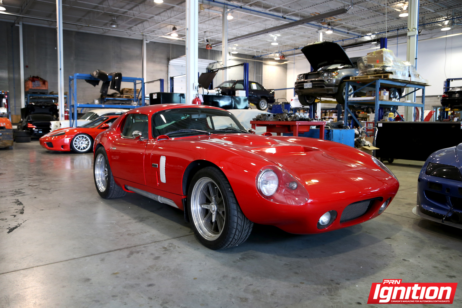 EA Shelby Daytona