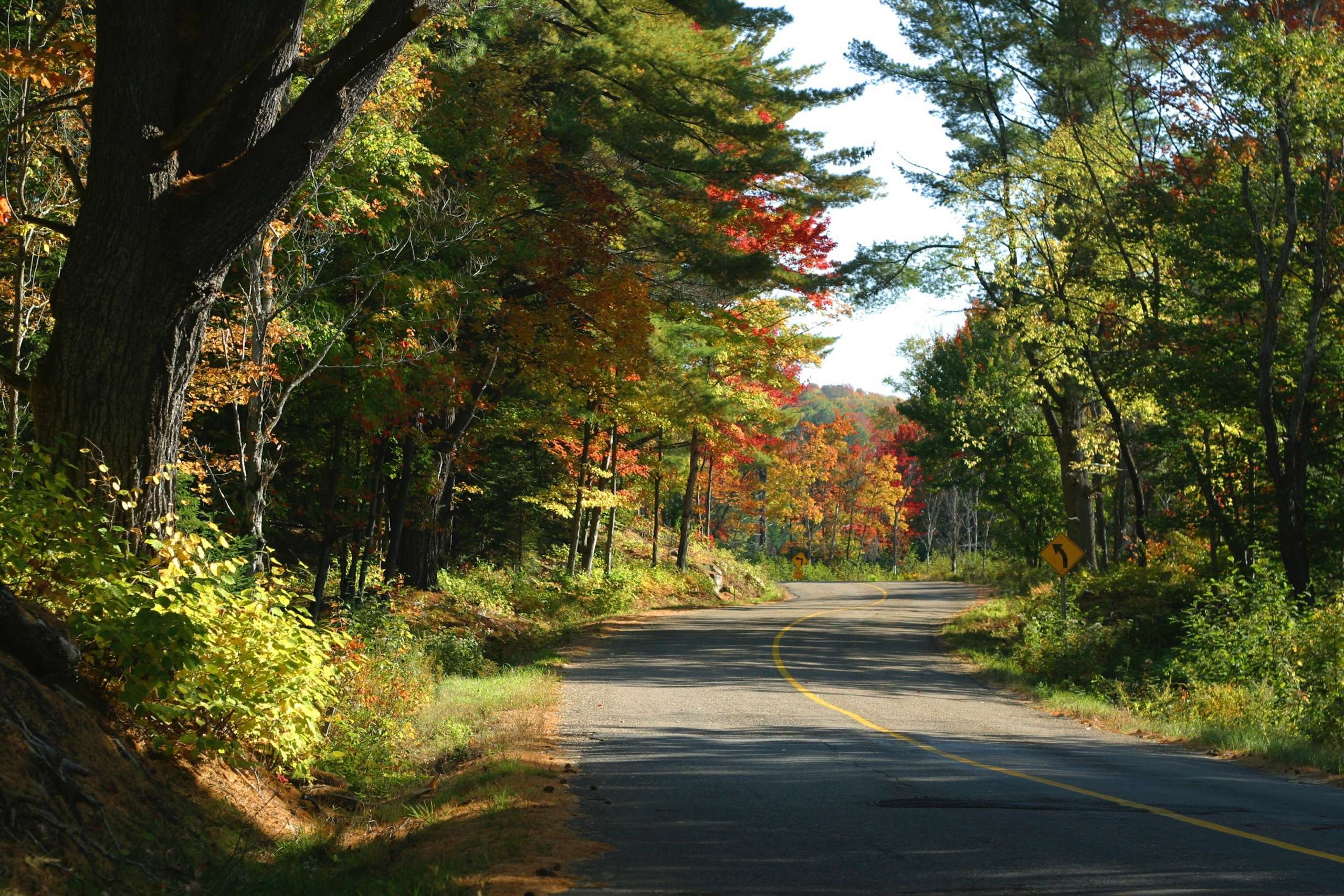 5. Ontario - Muskoka TS