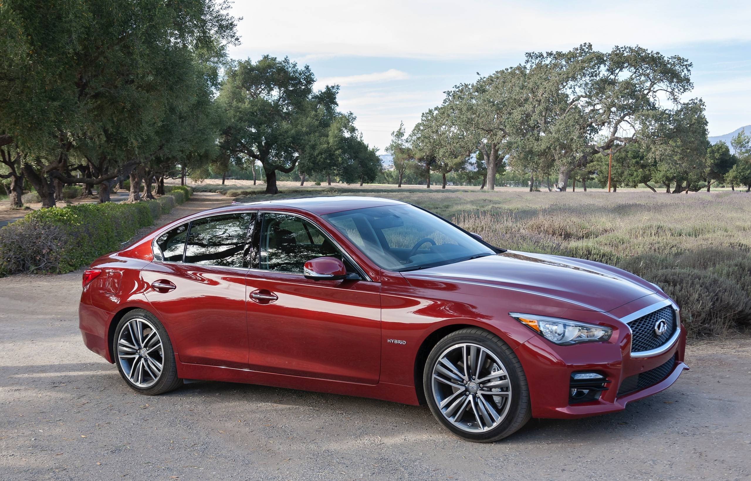 Infiniti Q50 Lee Bailie